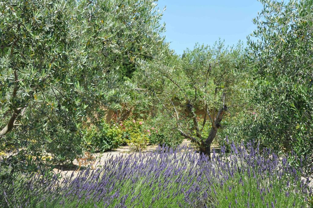 La Maison De Line Saint-Remy-de-Provence Bilik gambar