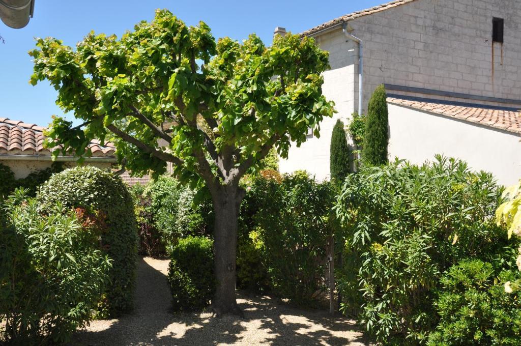 La Maison De Line Saint-Remy-de-Provence Luaran gambar