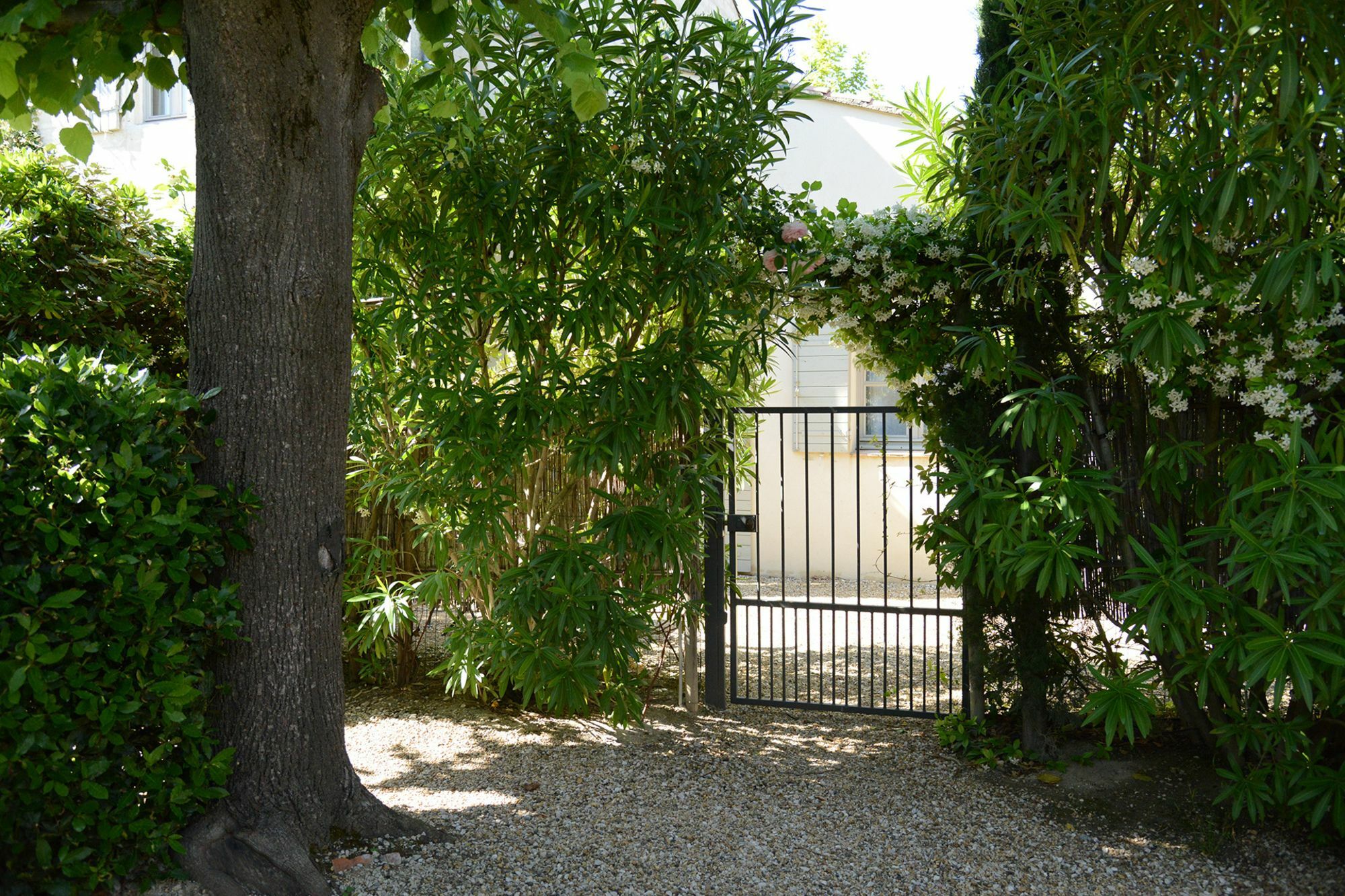 La Maison De Line Saint-Remy-de-Provence Luaran gambar